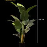 Industrial Flower